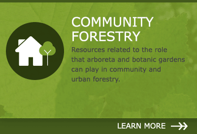 Community Forestry