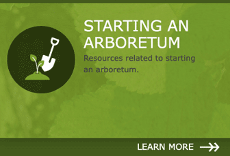 Starting an Arboretum