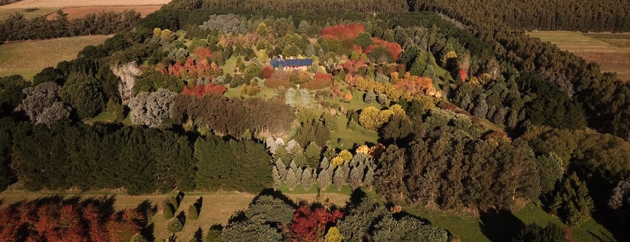 arboretum