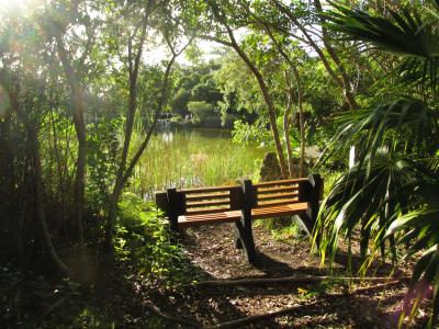 Northside Pond