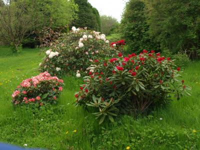 The Lovell Quinta Arboretum