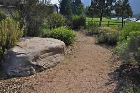 Native Plant Garden