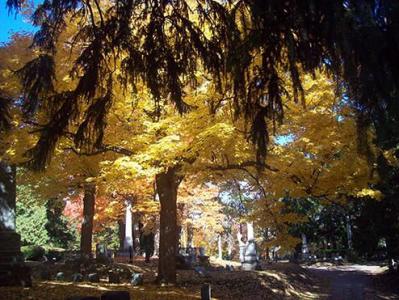 Glenwood Cemetery