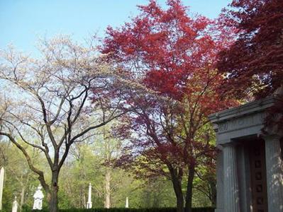 Glenwood Cemetery