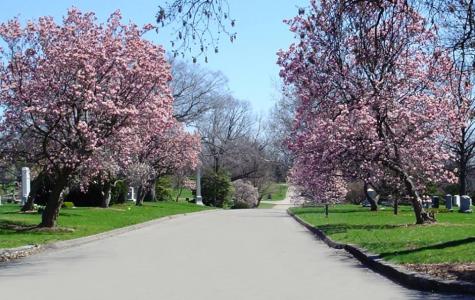 Spring Grove Cemetery & Arboretum