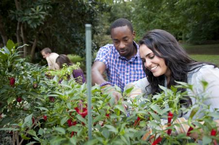 U of Alabama Arboretum students