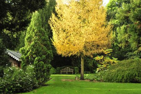 Arboretum Kalmthout