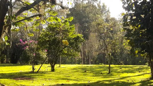 Jardin Botanico Francisco