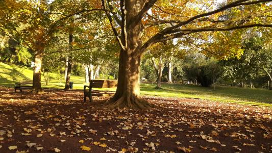 Jardin Botanico Francisco Jardin Botanico Francisco