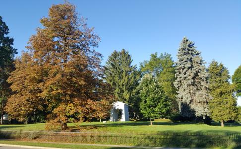 Cemetery trees