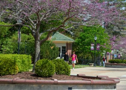 campus campus