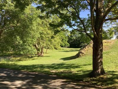 Arboretum trees