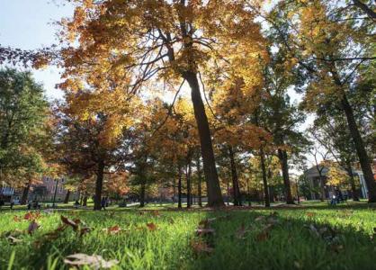 Allegheny Arboretum