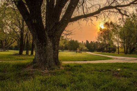 Arb grounds