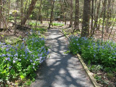 The Helen Avalynne Tawes Garden