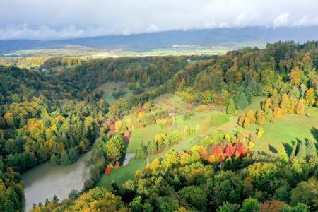 arboretum