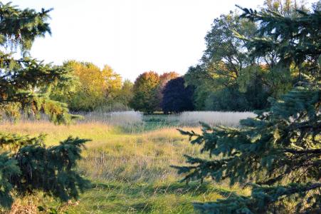 Arboretum Trails