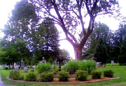 Mt. Washington Cemetery and Arboretum