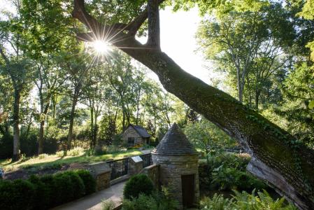 Cheekwood Arboretum