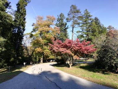Arboretum park road Arboretum Park road