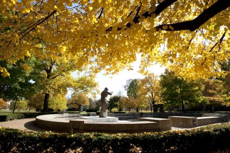 Elmhurst College Arboretum