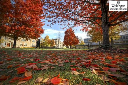 Washington University in St. Louis