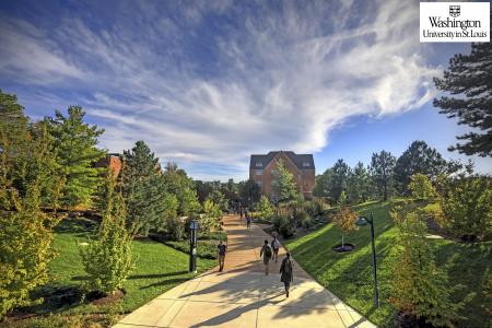 Washington University in St. Louis Washington University in St. Louis