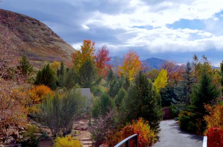 Children's Garden Fall