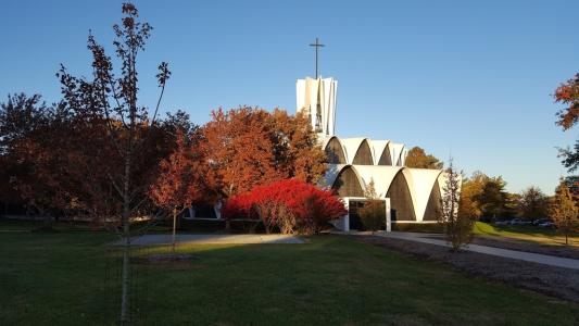 Fall trees