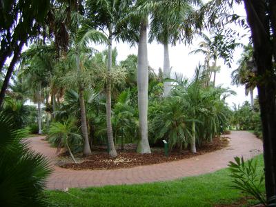 Gizella Kopsick Palm Arboretum