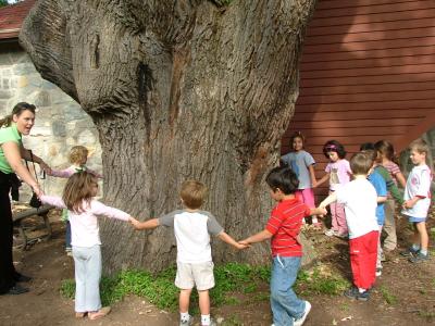 Children around oak tree