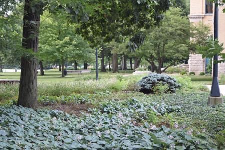 Ball State University Arboretum