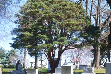 Fairview Cemetery