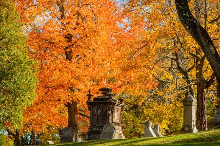 Elton in fall