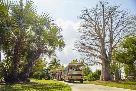 Tram tour