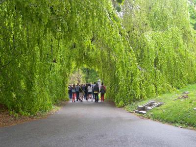 Green-Wood