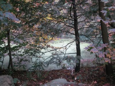 The Helen Avalynne Tawes Garden