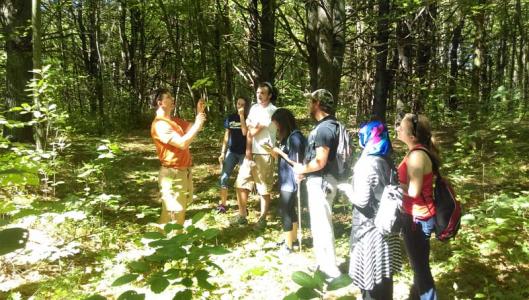 Southern New Hampshire University Arboretum