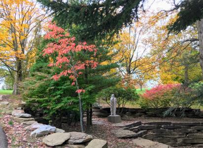 Jefferson Memorial Fall trees