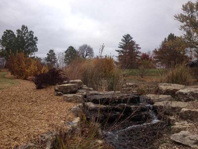 Stephen's Lake Park Arboretum