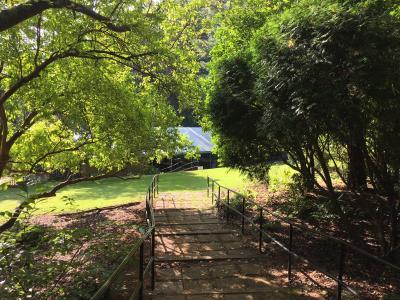 U of Alabama Arboretum