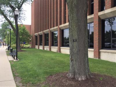 Evanston Township High School grounds