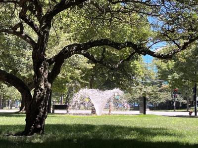 arboretum arboretum