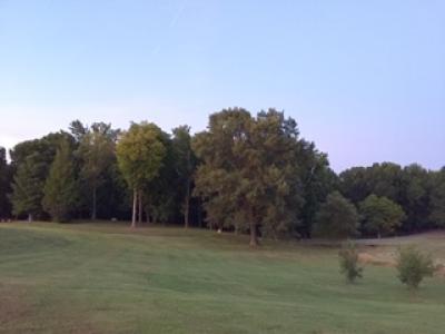 trees trees