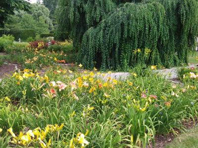 arboretum arb