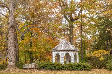 Fall Lace House Fall Lace House