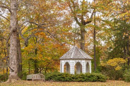 Fall Lace House