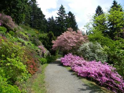 Pruhonice Park  - Lower Alpinum