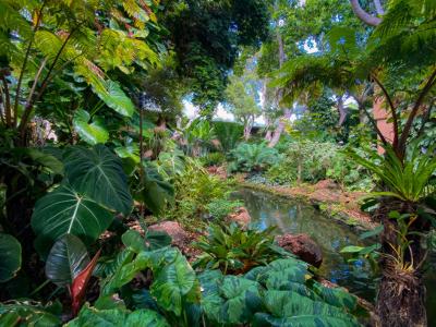 Four Seasons Resort Lanai grounds