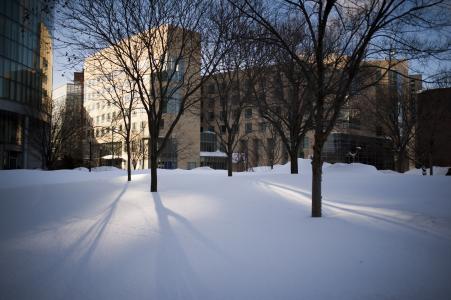 Northeastern University Arboretum